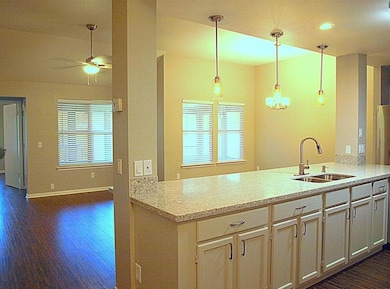 Kitchen featuring a peninsula, dark wood-style fl