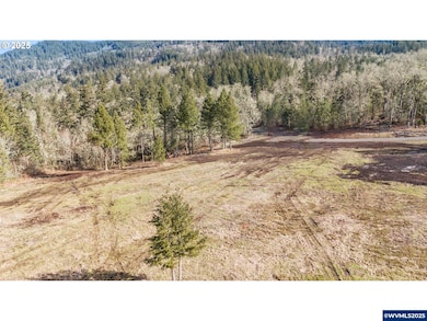 Lot 1st St, Harrisburg, OR 97446 - photo 2