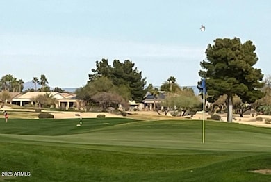 #17 Green from Patio