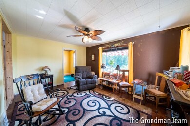 325 w sycamore, wayland, MI 49348-7