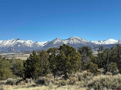 38.06 tbd Black Bear Trail, Crawford, CO 81415 - photo 6