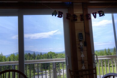 31 Farm Rd unit D1, Peru, VT 05152 - photo 5