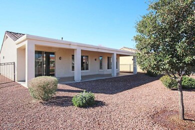Patio and Rear Yard