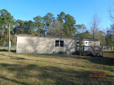 1410 NE Williamson Dr, Townsend, GA 31331 - photo 2