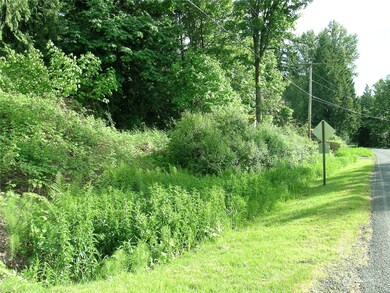 1557 Emerald Lake Way, Bellingham, WA 98226 - photo 4