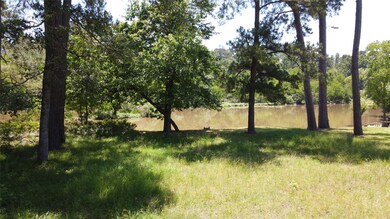 29810 Elm Ln, Magnolia, TX 77354 - photo 5