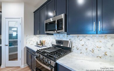 24818 Las Pilas, San Antonio, TX 78261 - photo 6