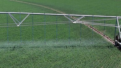 45533 County Road 38 9, Trinidad, CO 81082 - photo 7