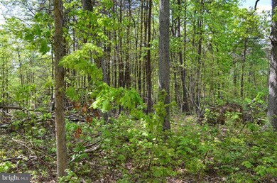 0 Lot 12 Secession Ln unit 1003490994, New Market, VA 22844 - photo 4