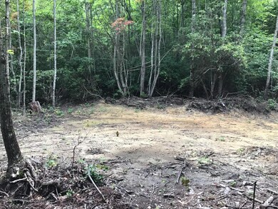 Tbd Bobcat Dr, Big Stone Gap, VA 24219 - photo 5