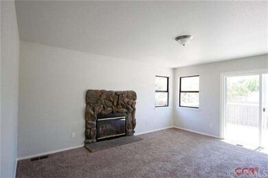 Downstairs Den/Guest Room with Slider and Fireplac
