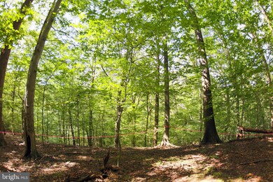 0 Laurel Dr unit MDPG2164030, Accokeek, MD 20607 - photo 4