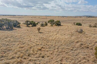 57 Luke Rd, Moriarty, NM 87035 - photo 2
