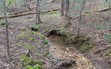 Additional View