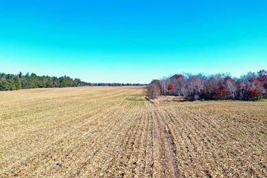 NA Flamingo St NW, Bradford Township, MN 55040 - photo 2