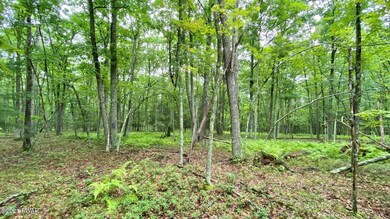 133 Briarcrest Dr, Lackawaxen Township, PA 18428 - photo 2