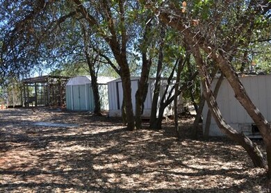 Sheds and Aviary
