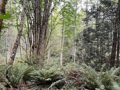 1 XX Scenic Dr NE, Poulsbo, WA 98370 - photo 4