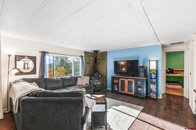 41 Moss Road Trail, Durango, CO 81303 - photo 4