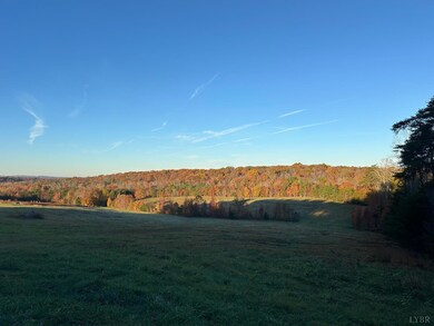 0 McIver Ferry Rd, Gladys, VA 24554 - photo 4