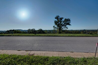 3232 W Bluffview St, Springfield, MO 65810 - photo 5