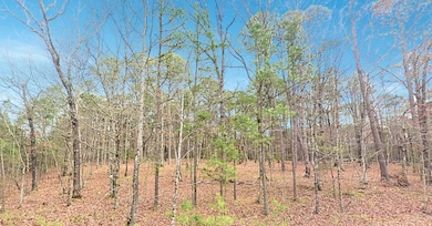 0 Wildwood Trail unit 25634053, Fairfield Bay, AR 72088 - photo 2