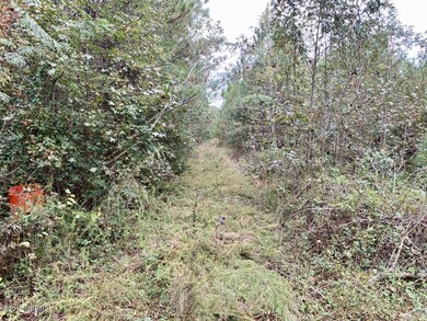 20191104185145498917000000-o[1]