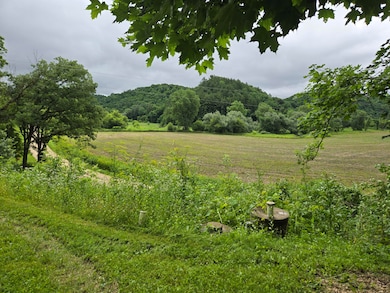 S6205 Sidie Hollow Rd, Viroqua, WI 54665 - photo 6