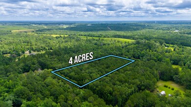 XX Henderson Rd, Defuniak Springs, FL 32435 - photo 2