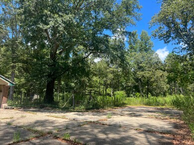 Large slab connected to driveway