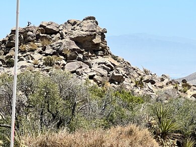 IMG-0054