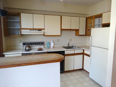 841 E 4th St unit 2, Boston, MA 02127 - photo 3