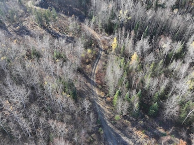 0 Roberts Lake Rd unit 11616225, Laona, WI 54541 - photo 2