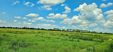 0 Mammoth Grove Rd unit MFRP4935059, Lake Wales, FL 33898 - photo 7