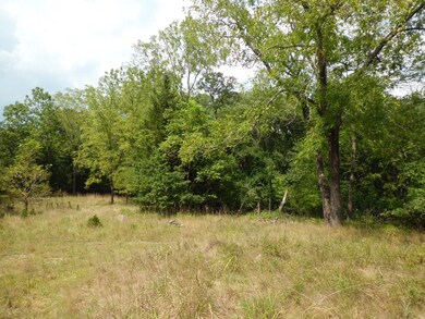 65 Squankum Rd, Colts Neck, NJ 07722 - photo 6