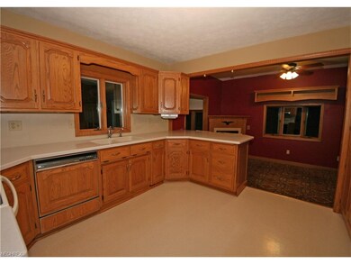 224 Forest St, Lagrange, OH 44050 - photo 4