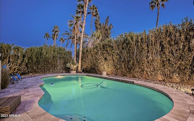 Stunning Backyard Pool