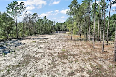 3453 SW 189th Ave, Dunnellon, FL 34432 - photo 4