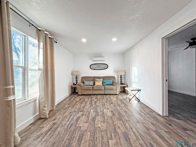 306 N Lake St, Carlsbad, NM 88220 - photo 4