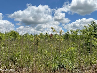 0 Brahan Rd, Sledge, MS 38670 - photo 3