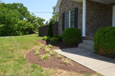 More Landscaping