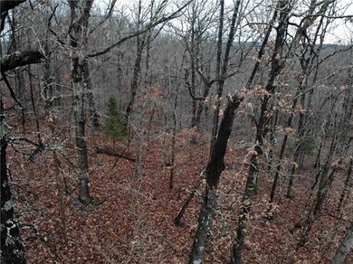 Lot 92 Pickering Dr, Bella Vista, AR 72714 - photo 3