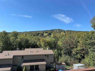 17J Snow Tree Ln, Dover, VT 05356 - photo 4