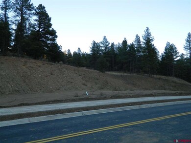 0 Twin Buttes Ave unit 726619, Durango, CO 81301 - photo 3