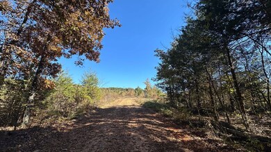 000 Schales Rd, Poughkeepsie, AR 72569 - photo 7