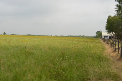 0 Rochen unit 35060089, Waller, TX 77484 - photo 4