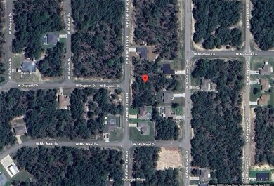 6251 N Walter Terrace, Pine Ridge, FL 34434 - photo 7