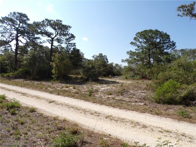 393 Morningside Dr, Lake Placid, FL 33852 - photo 6