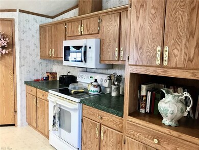 Glass top range- with microwave- walk in pantry- p