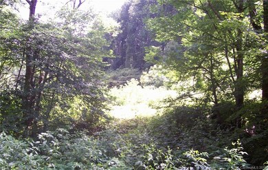 0 Patsy Creek Rd unit 3425310, Burnsville, NC 28714 - photo 5